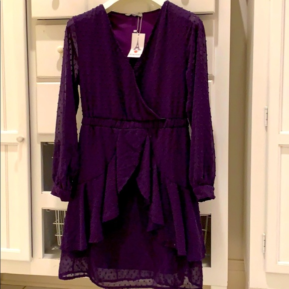NWT Swiss Dot Purple Dress        Size: Medium - Picture 12 of 13